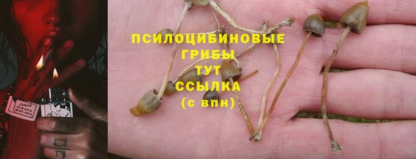 амф Липки