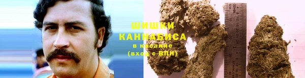 а пвп мука Бикин