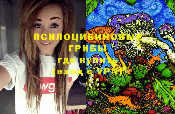 амф Липки